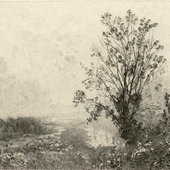 image beaux arts et musique